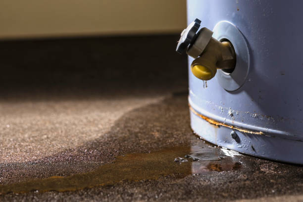 Best Professional water damage repair  in Liberal, KS