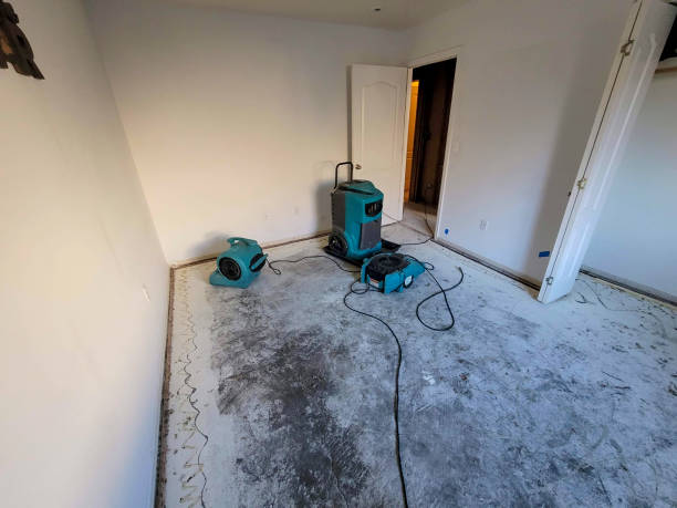 Water damage restoration mold remediation in Liberal, KS