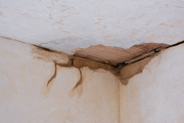 Best Carpet water damage restoration  in Liberal, KS